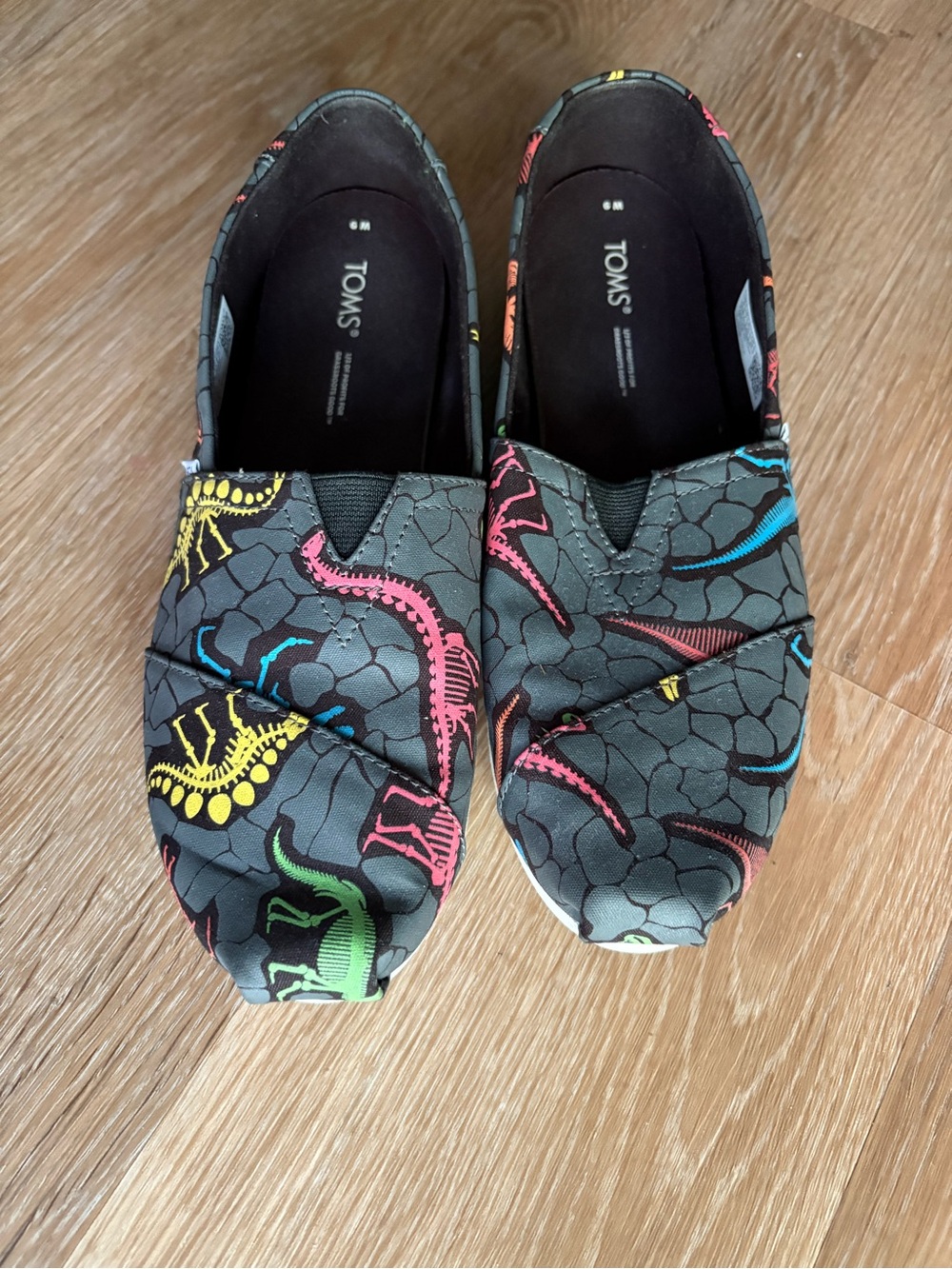 TOMS Women’s Black Slip-On Sneakers with Multicolor Dinosaur Print